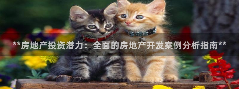 万向娱乐官网下载安装手机版