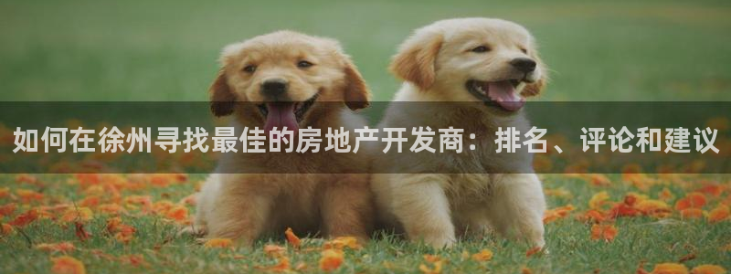 万向娱乐app下载官网