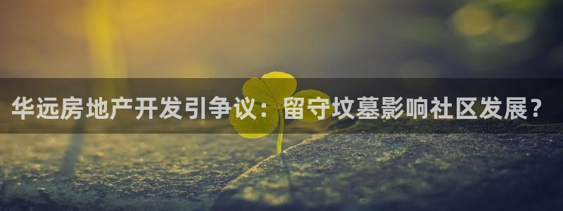 万向娱乐平台代理怎么做