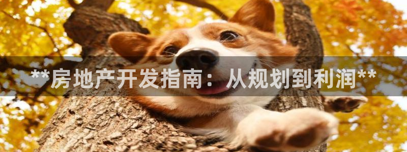 万能娱乐平台直招代理