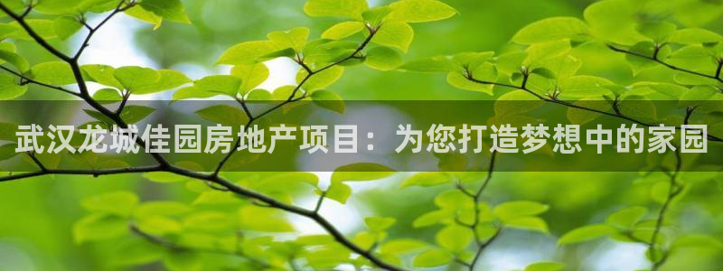 万向娱乐灯333OO