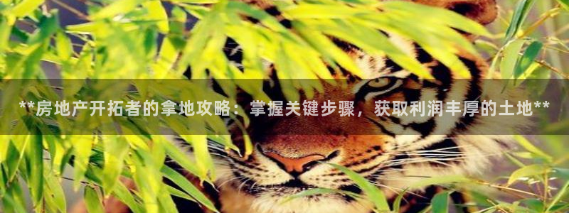 万向娱乐代理好看视频