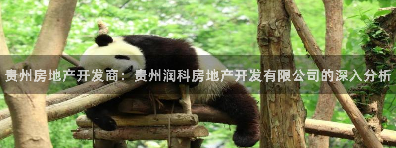 万向娱乐是哪个旗下