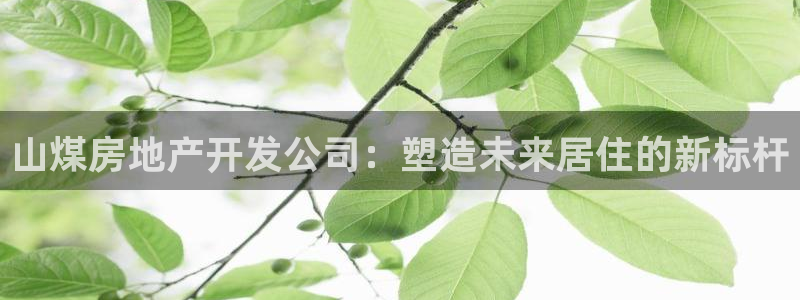 万向娱乐的联系方式有哪些