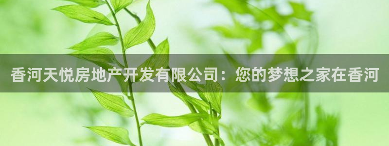 万向娱乐登陆官网入口