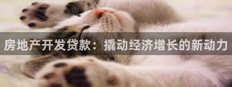 万向娱乐官网网址大全