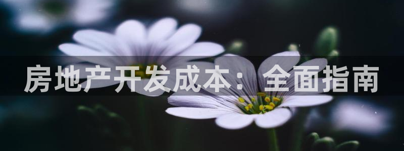 万向娱乐是哪个旗下