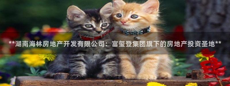万向娱乐官网下载安卓