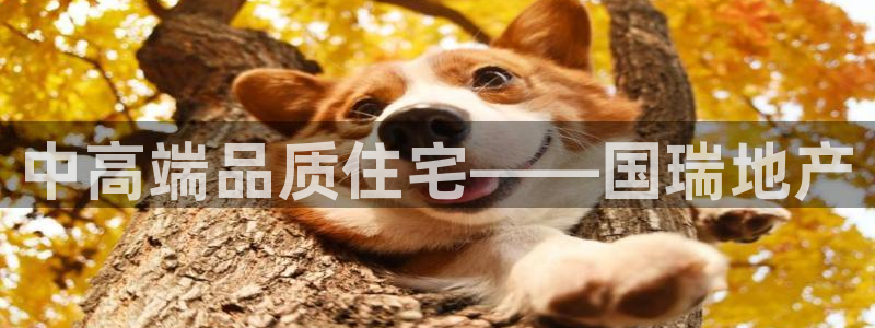 万向娱乐老板