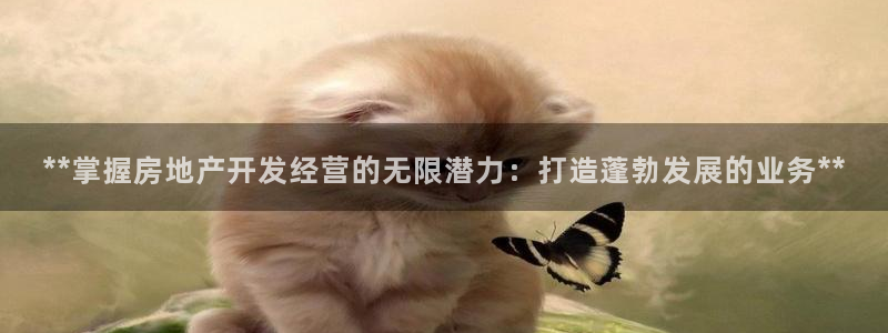 万向娱乐登陆