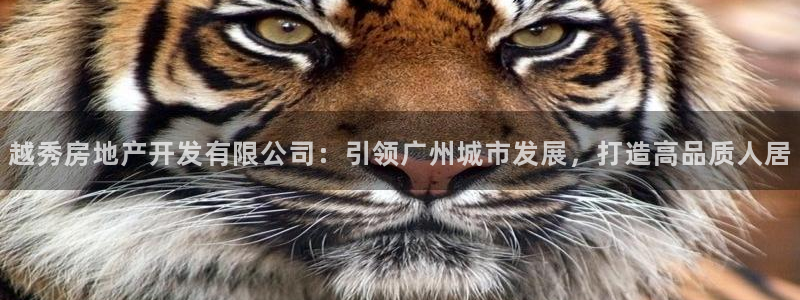 万向娱乐官网网址是什么