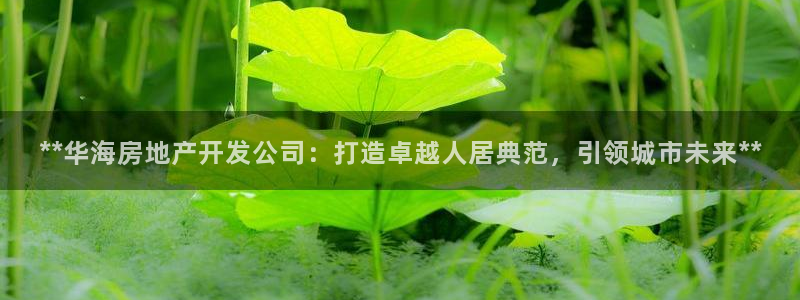 万向娱乐app下载官网