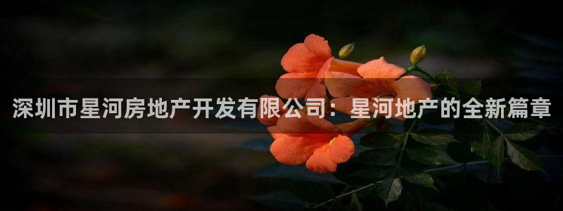 万向娱乐官网网址大全