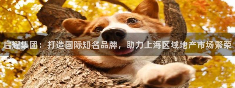 万向娱乐平台代理怎么样啊