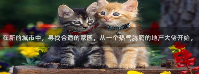 万向娱乐登陆官网入口