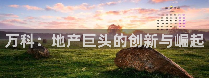 万向娱乐挂机