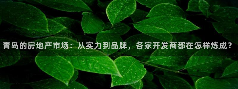 万向娱乐