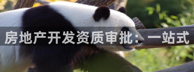 万向娱乐官网网址是多少