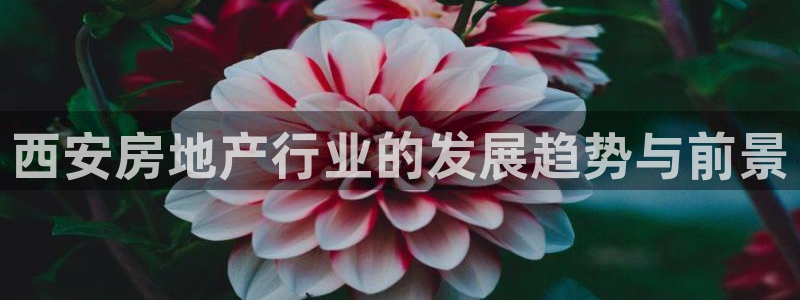 万向娱乐官网下载安装手机版