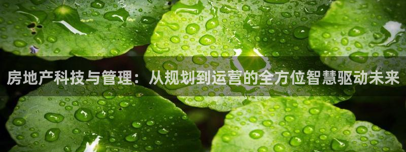 万向娱乐网址是什么