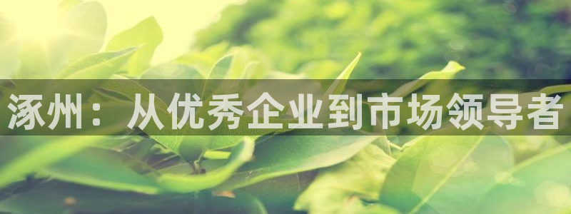 万向娱乐王者荣耀