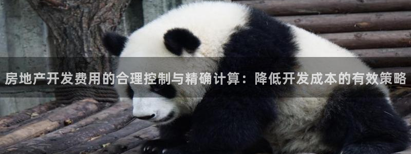 万向娱乐官网网址是什么