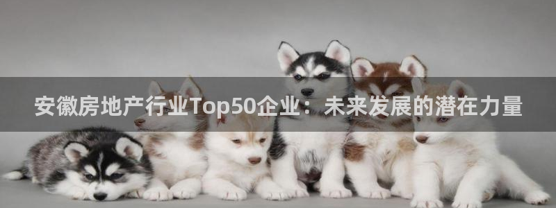 万向娱乐平台下载安装手机版