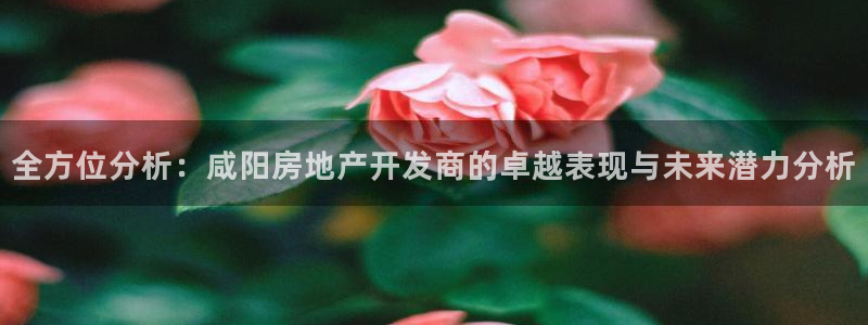 万向娱乐平台下载安装手机版
