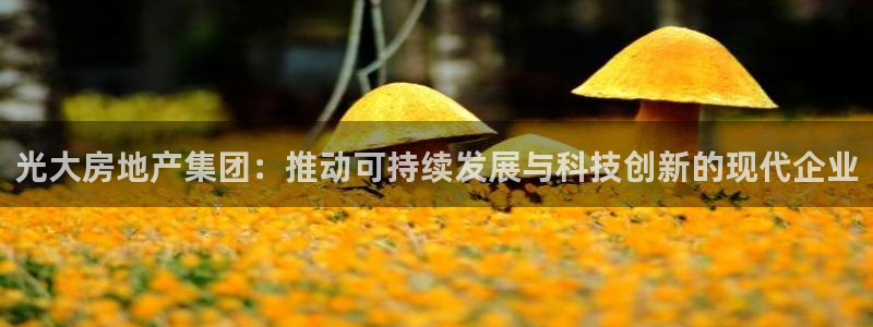 万向娱乐平台代理怎么样可靠吗