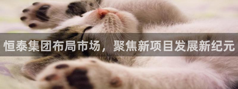 万向娱乐老板