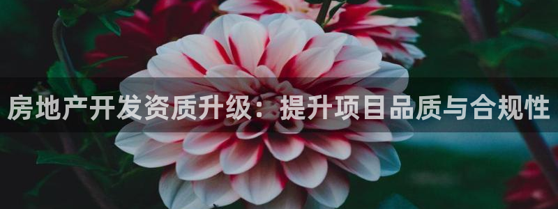 万向娱乐官网下载安装