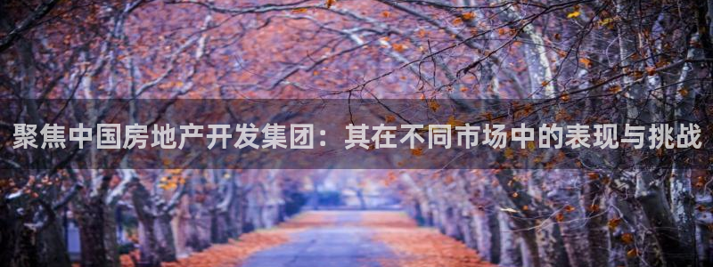 万向娱乐平台代理怎么样啊