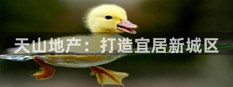 万能娱乐平台直招代理
