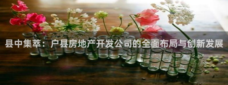 万向娱乐平台招商骗局