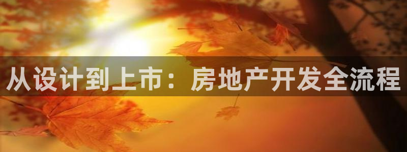 万向娱乐平台代理怎么做