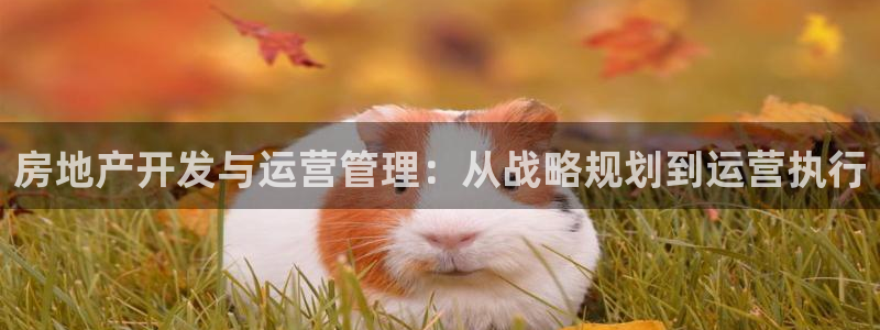 万象游戏代理