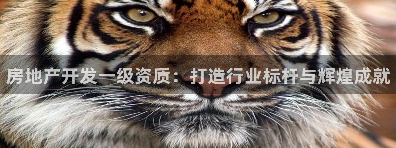 万能娱乐平台直招代理