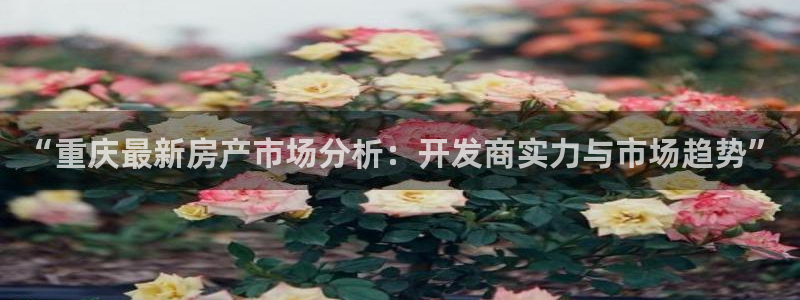 万向娱乐