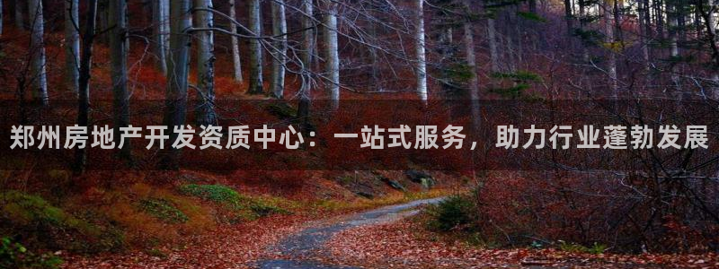 万向娱乐下载