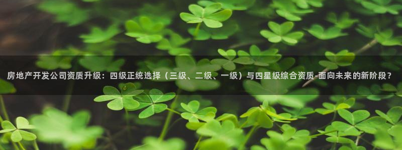 万向娱乐老板