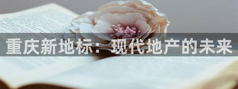 万向娱乐app