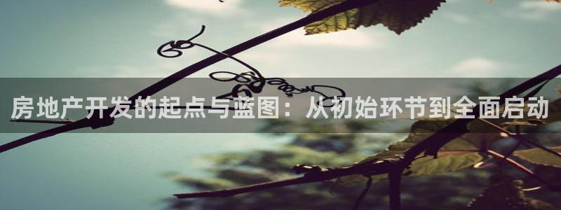 万向娱乐平台代理多少钱