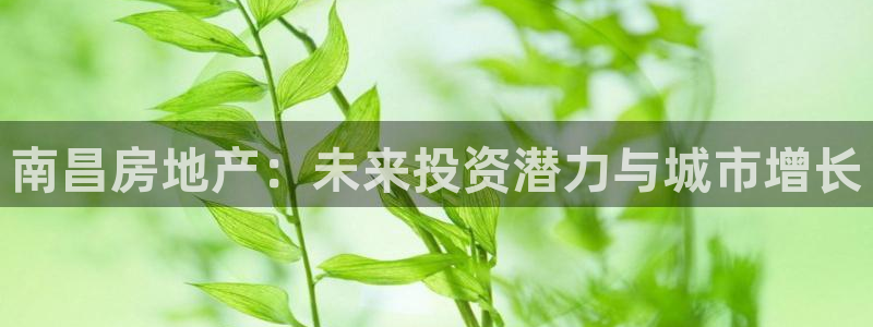 万向娱乐下载安装