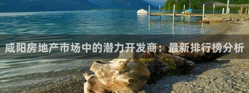 万向娱乐挂机