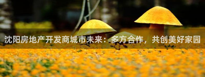 万能娱乐代理网址