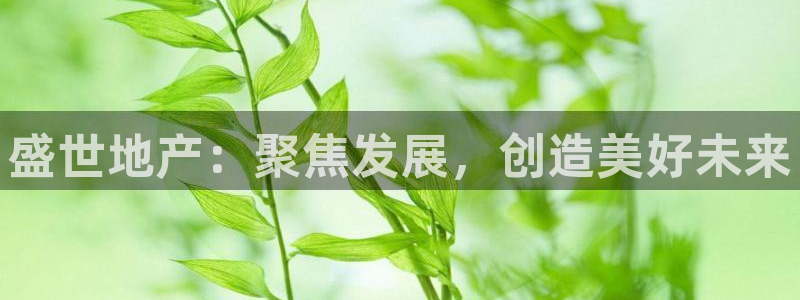 万向娱乐平台代理怎么做