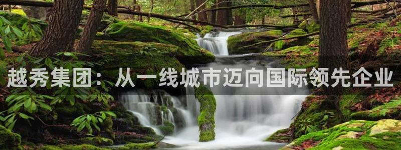 万向娱乐官网网址大全