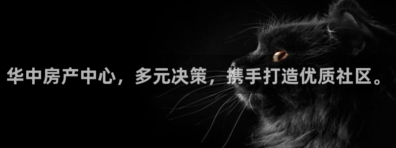 万向娱乐老板