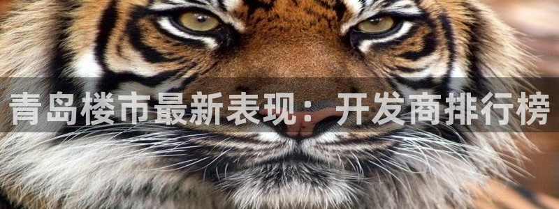 万向娱乐的联系方式