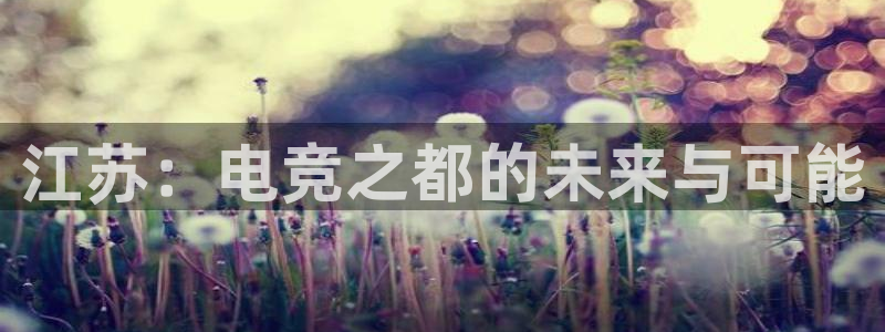 db电竞官网：江苏：电竞之都的未来与可能